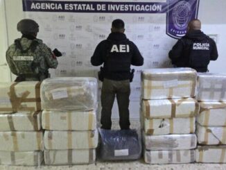 Aseguran en brecha del Ejido Sacramento 170 kilos de marihuana, metanfetamina y vehículo robado