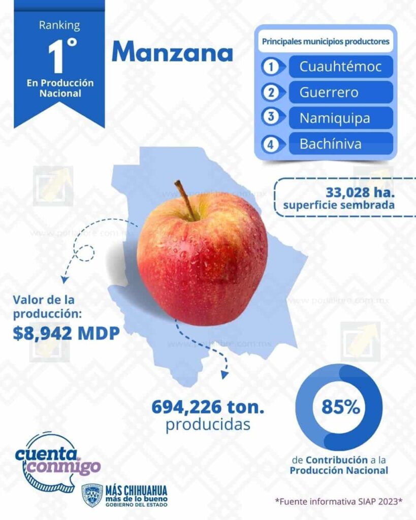 Chihuahua, líder en producción de manzana