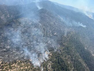 Se unen 77 brigadistas para sofocar 6 incendios activos en el estado