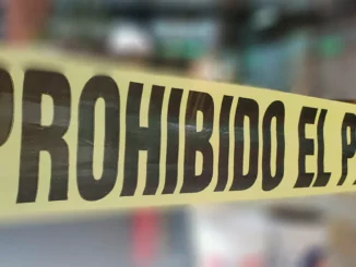 Suman 17 los cuerpos hallados en una finca de Irapuato