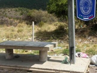 Asegura AEI arma de fuego y droga en carretera a Balleza