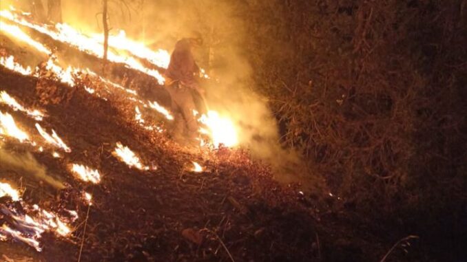 Reporta SDR 10 incendios forestales activos en el estado
