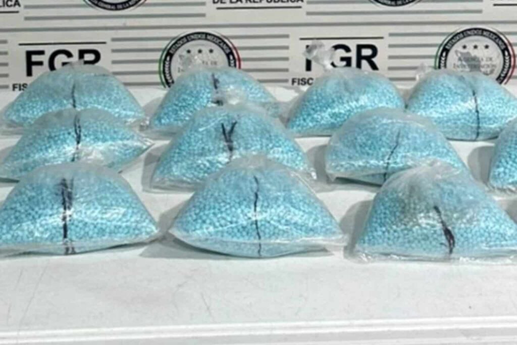 Aseguran 200 mil pastillas de fentanilo tras inspección de un autobús en Sonora