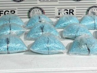 Aseguran 200 mil pastillas de fentanilo tras inspección de un autobús en Sonora