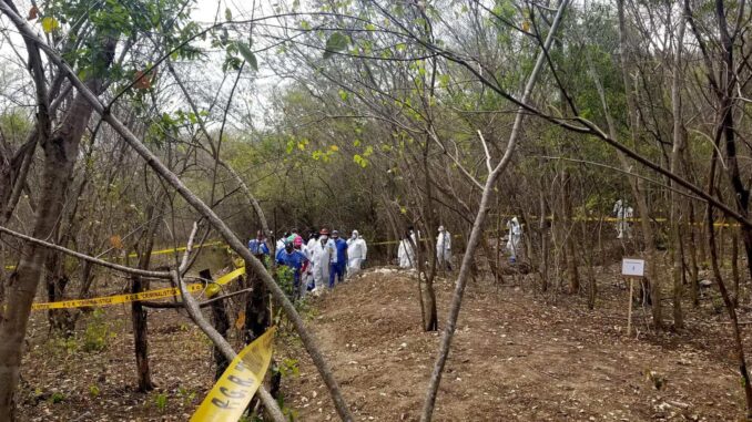 Especialistas y buscadores de personas desaparecidas afinan método para localizar fosas mediante flores y animales