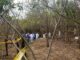 Especialistas y buscadores de personas desaparecidas afinan método para localizar fosas mediante flores y animales
